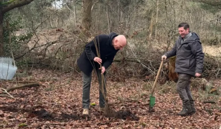 Negenduizend bomen kleuren Galderse Heide weer groen